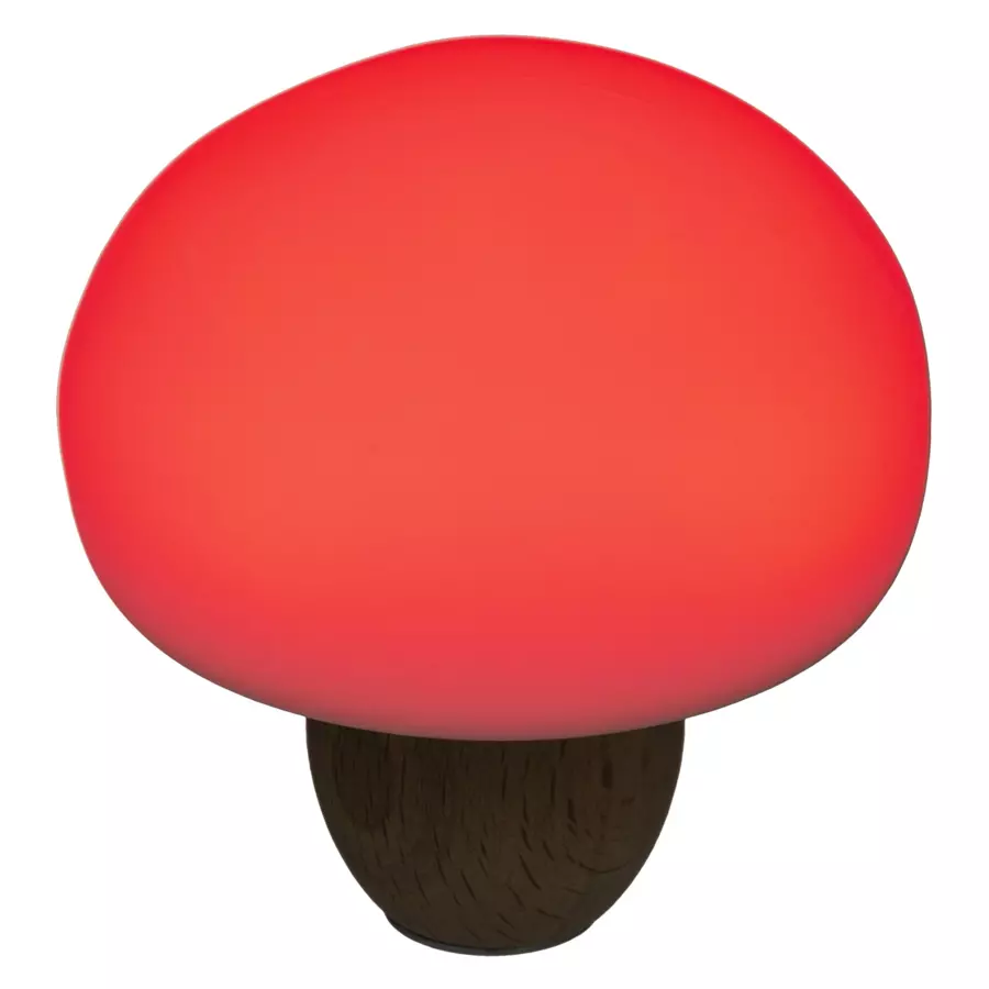 Veilleuse Champignon Blanche 4