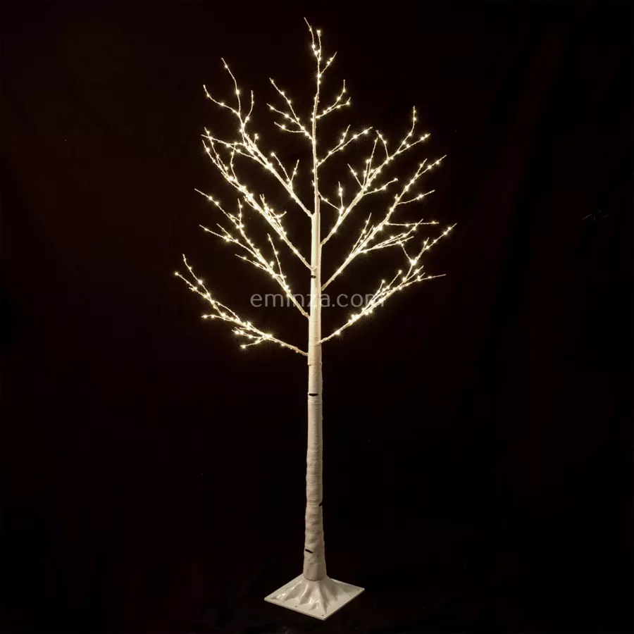 Abedul luminoso Lucidum Altura 150 cm  5