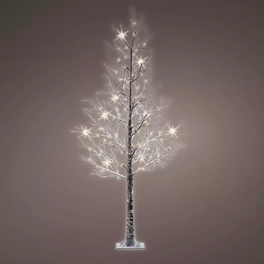 Peuplier lumineux Loay H125 cm Blanc chaud 4