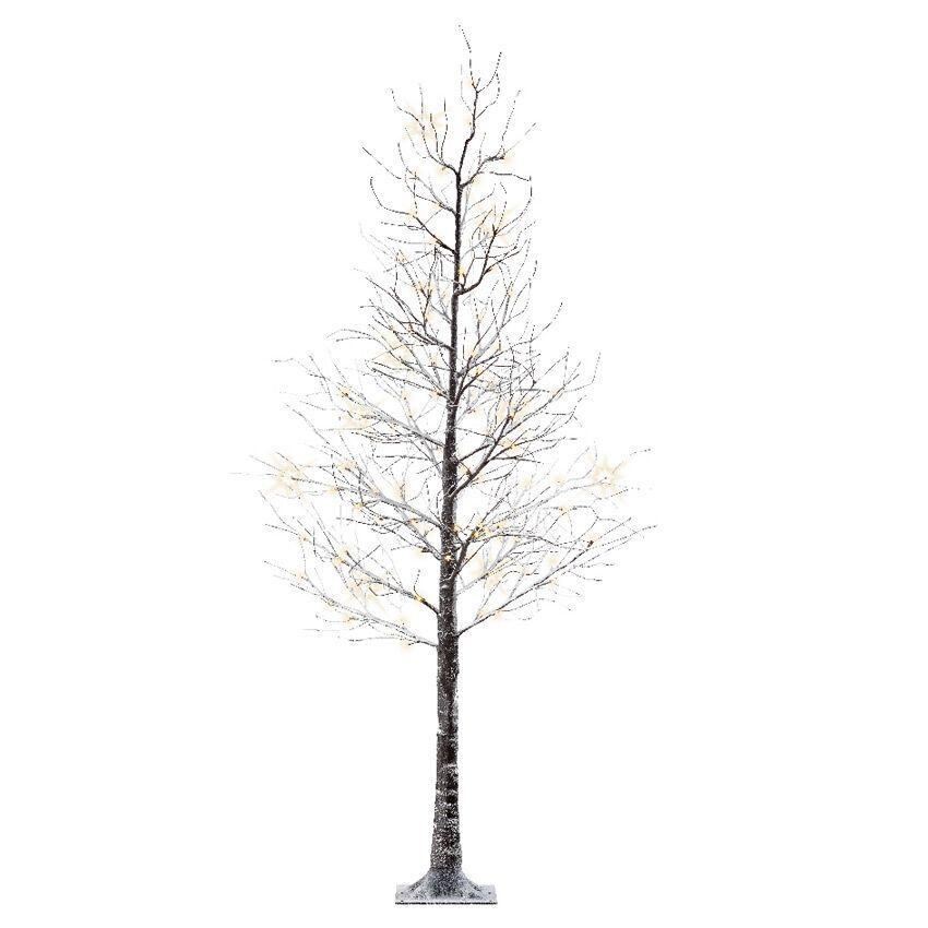 Lichterbaum Pappel Loay H125 cm Warmweiß 5