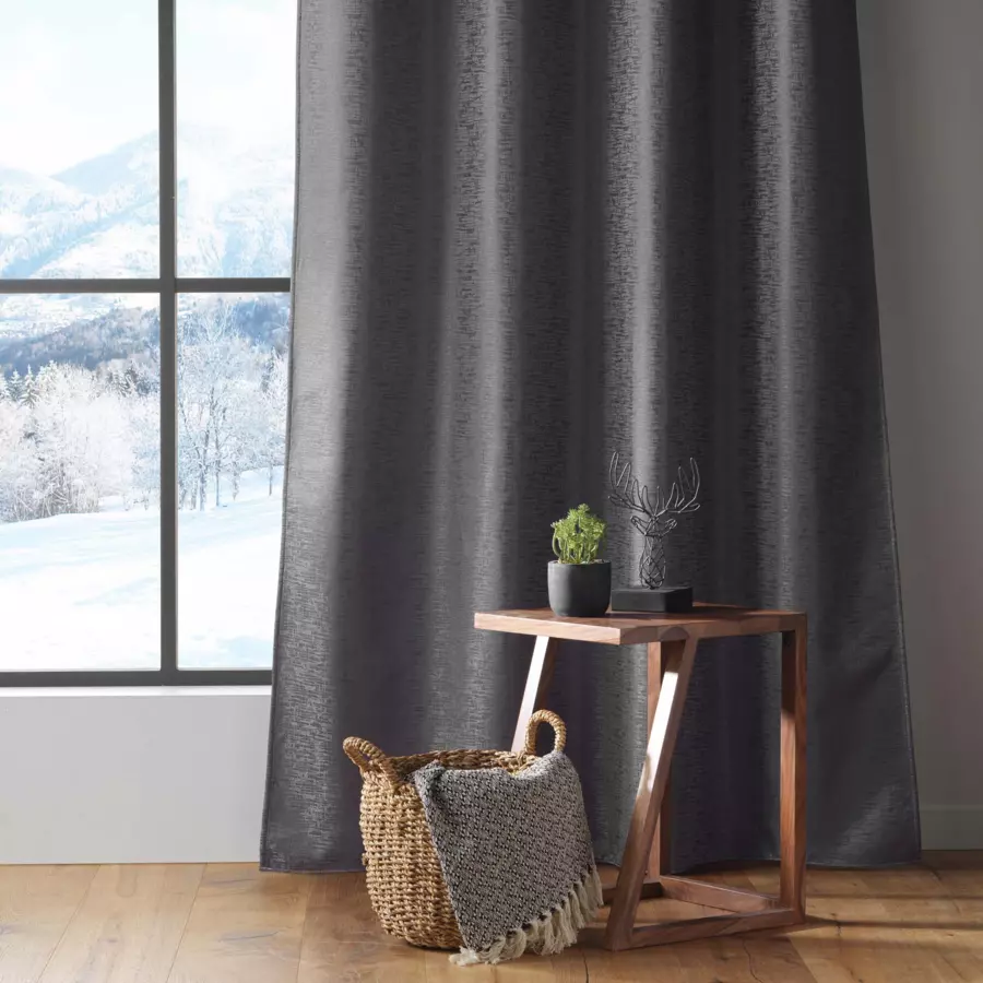 Cortina térmica aislante (140 x 260 cm) Polarine Gris antracita
