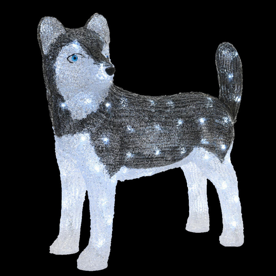 Verlichte hond Snowy Koud wit 80 LED 5
