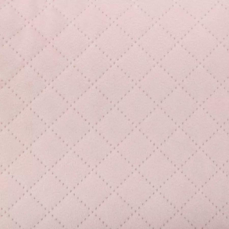 Velours Sierkussen (40 cm) Dolce Roze clair 4