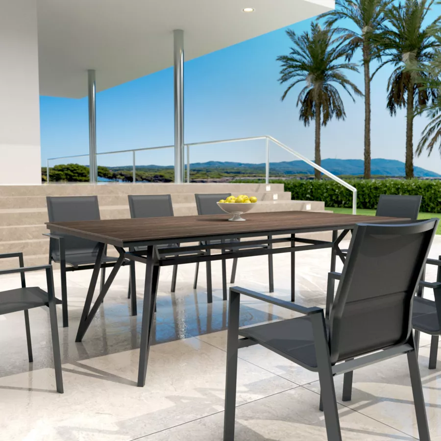 Table de jardin aluminium/HPL 10 places (220 x 115 cm) Biarritz - Effet Bois/Gris anthracite