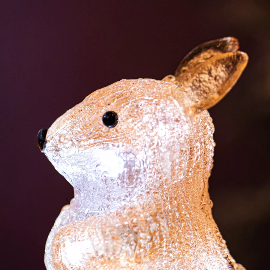 Renne lumineux 180 LED (H95 cm) Lapin et renard Blanc froid