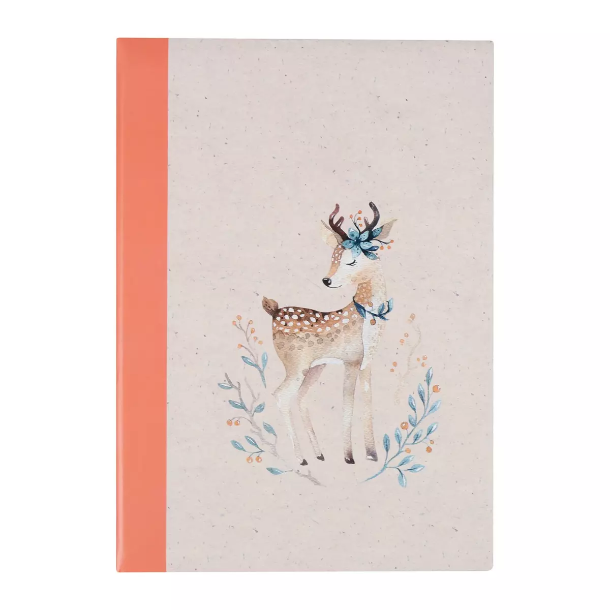 Album Photos 200 vues Biche Multicolore 1