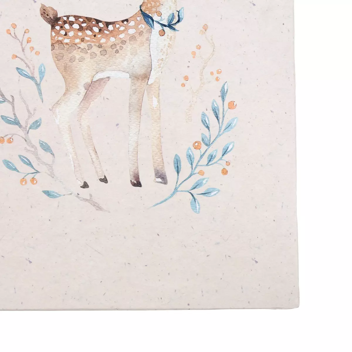 Album Photos 200 vues Biche Multicolore 2