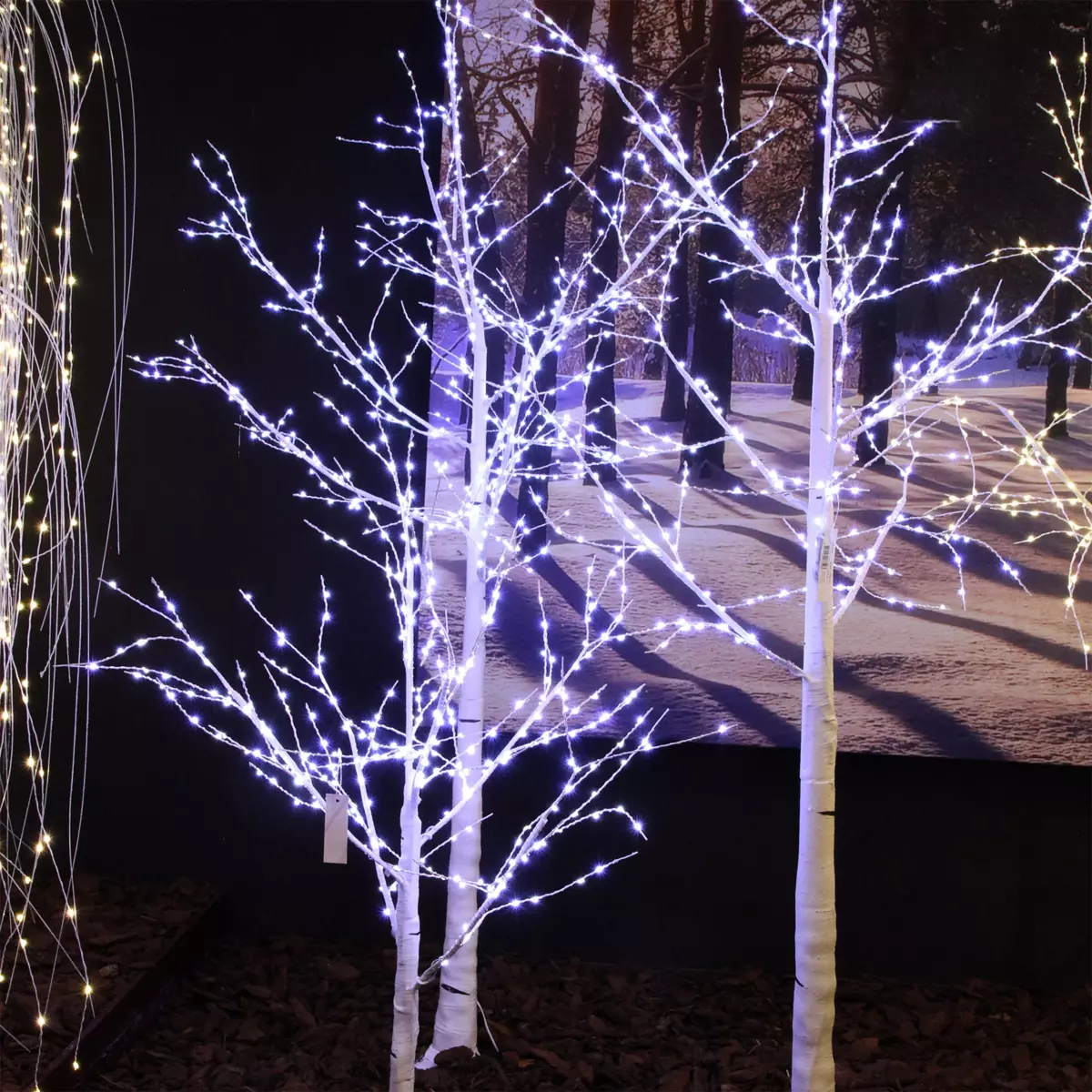 Bouleau lumineux Wills Micro LED H180 cm Blanc froid 4