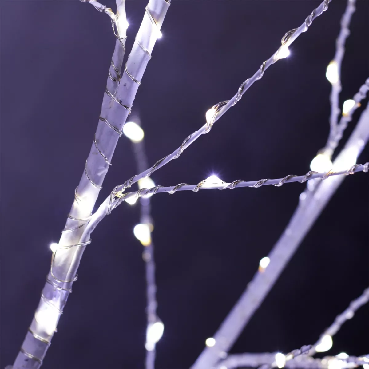 Abedul luminoso Wills Micro LED alto 150 cm Blanco frío 3