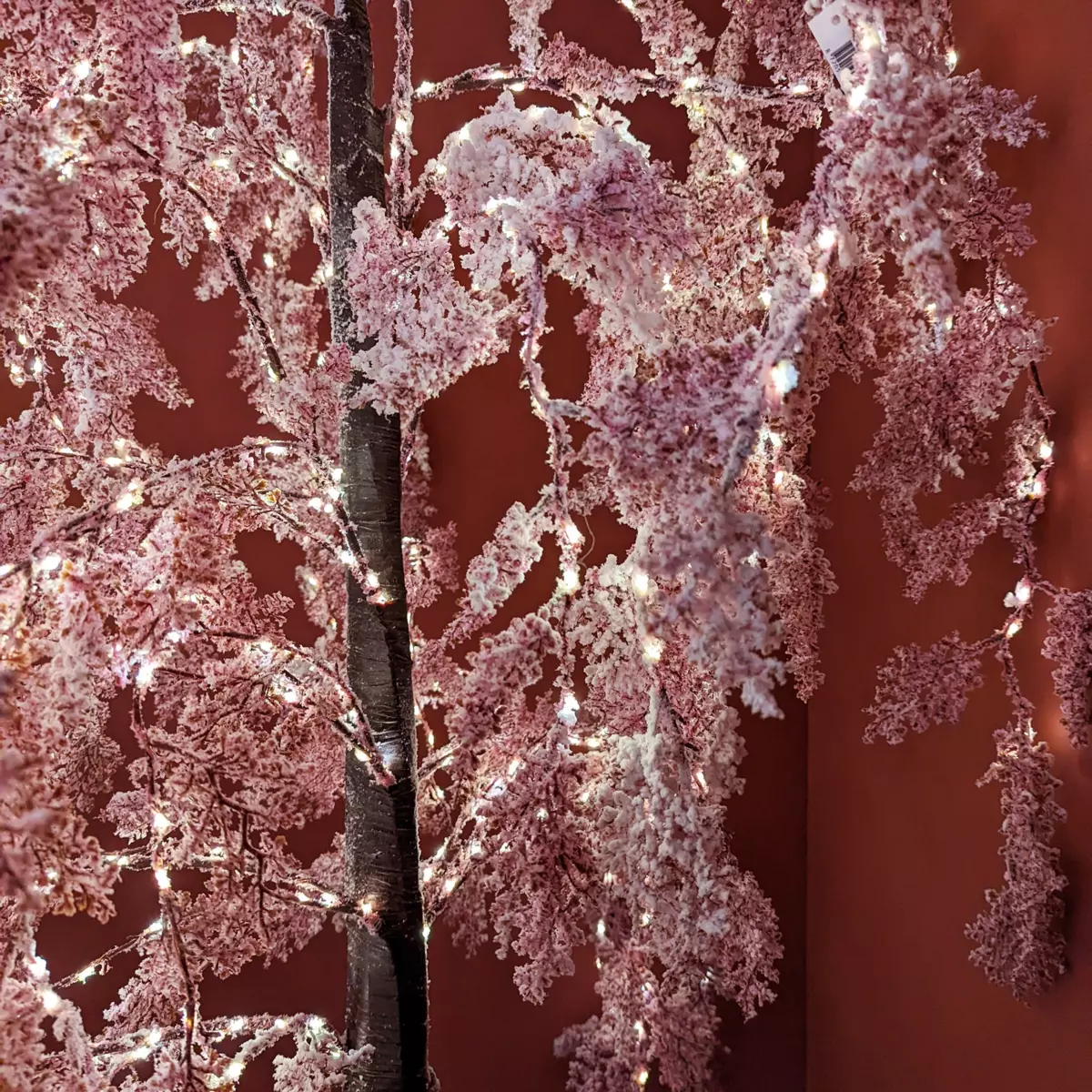 Sauce llorón luminoso Flor rosa A200 cm Rosa 3