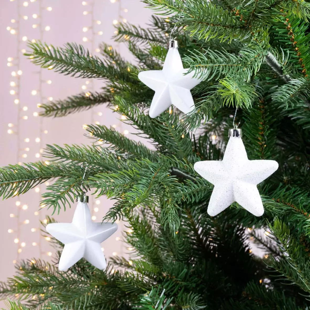 Lot de 6 étoiles de Noël à suspendre Alpine Blanc 1