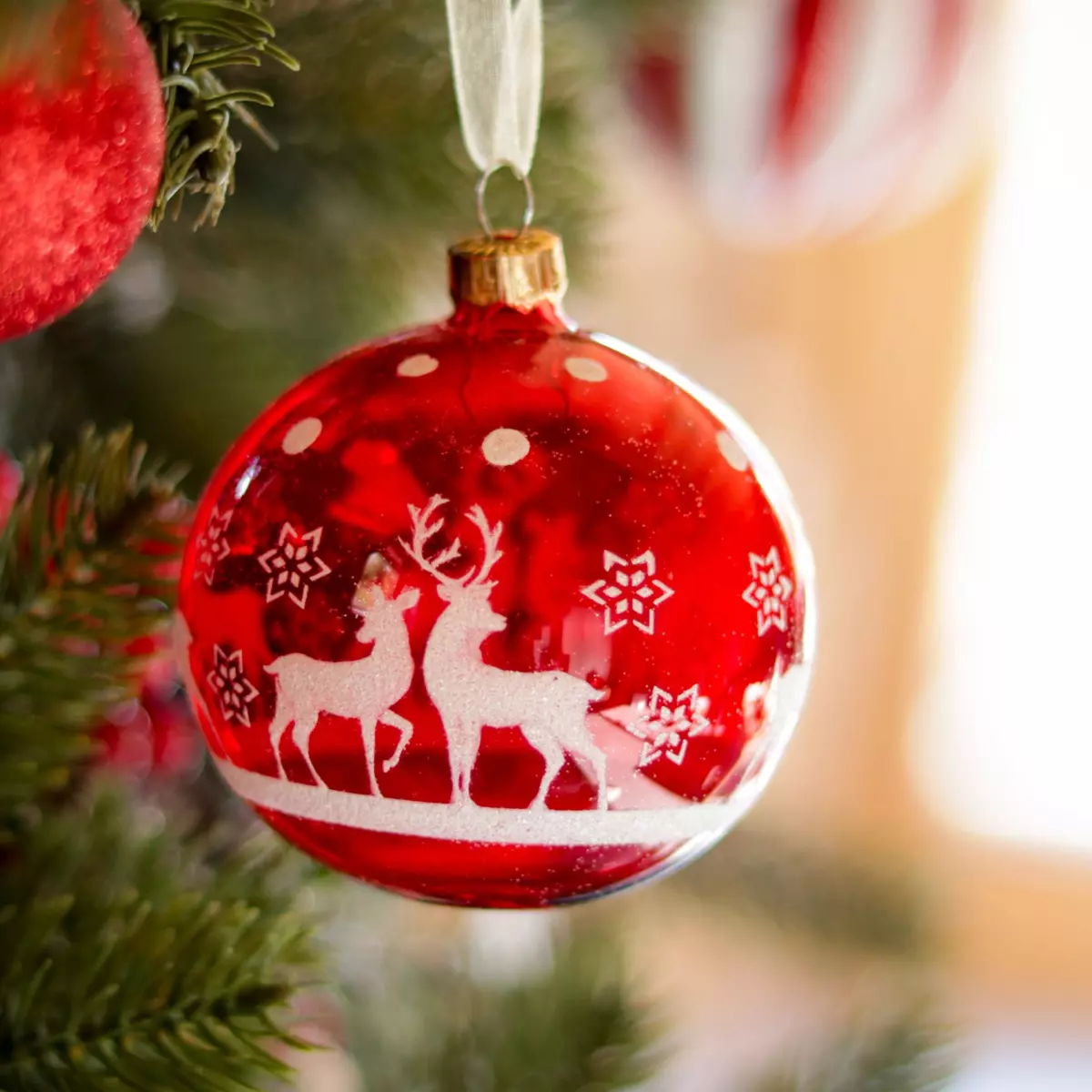 Lote de 6 bolas de Navidad en vidrio (D80 mm) Rudolf Rojo  1