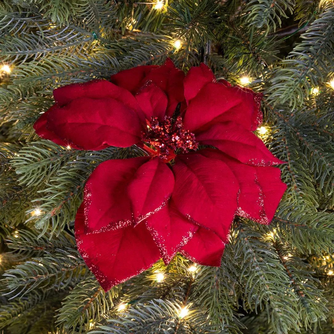 Ghirlanda Natale 70 Cm Esterno Decorazione Natalizia A Ghirlanda Con Pigne E Bacche Rosse, Lunghezza 70 Cm, Con/senza Luci, Per Porta D'ingresso O Interno Festone Natalizio Per Porta