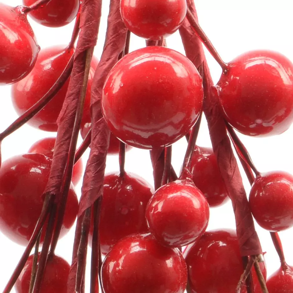 Set van takken  Rood 2