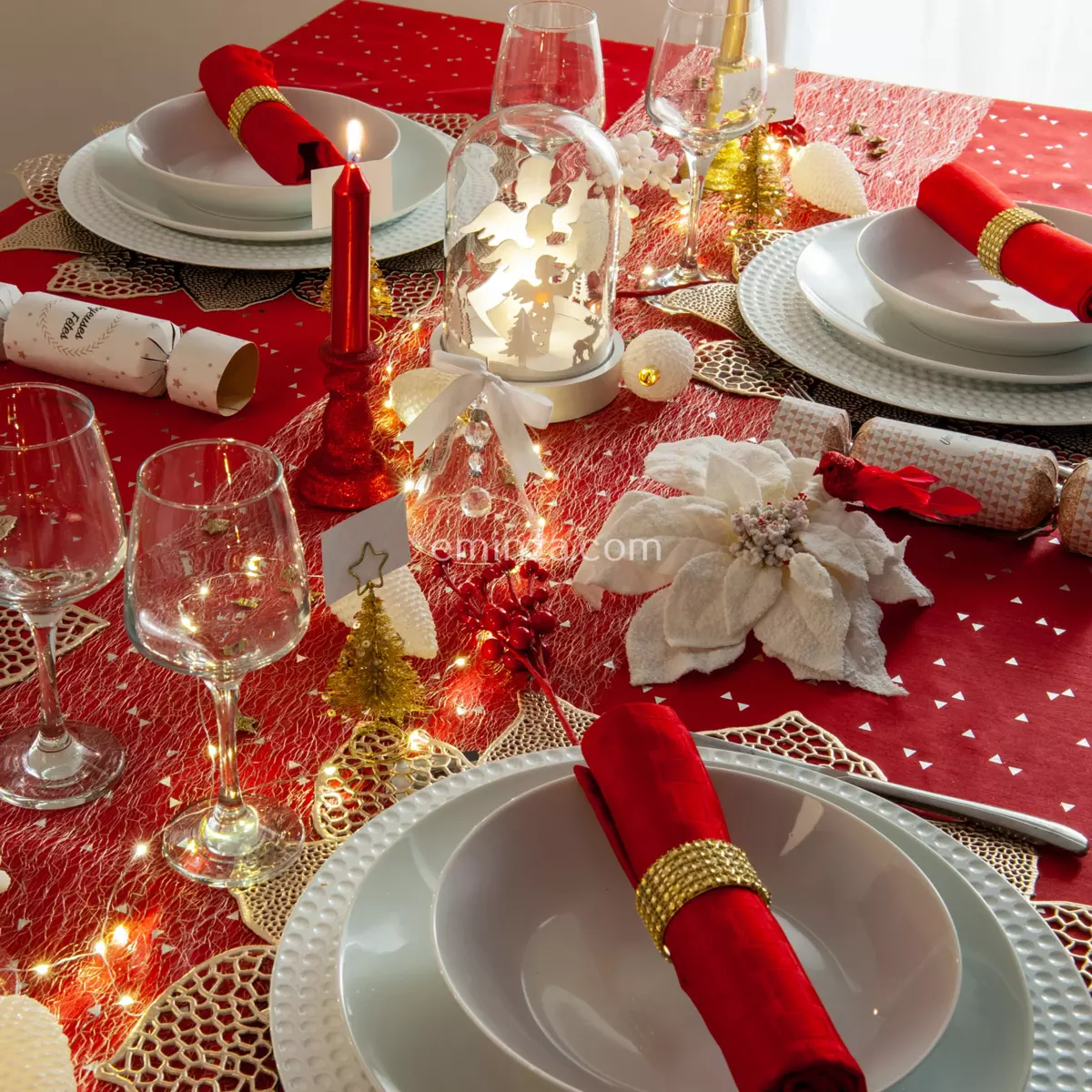 Set van takken  Rood 3