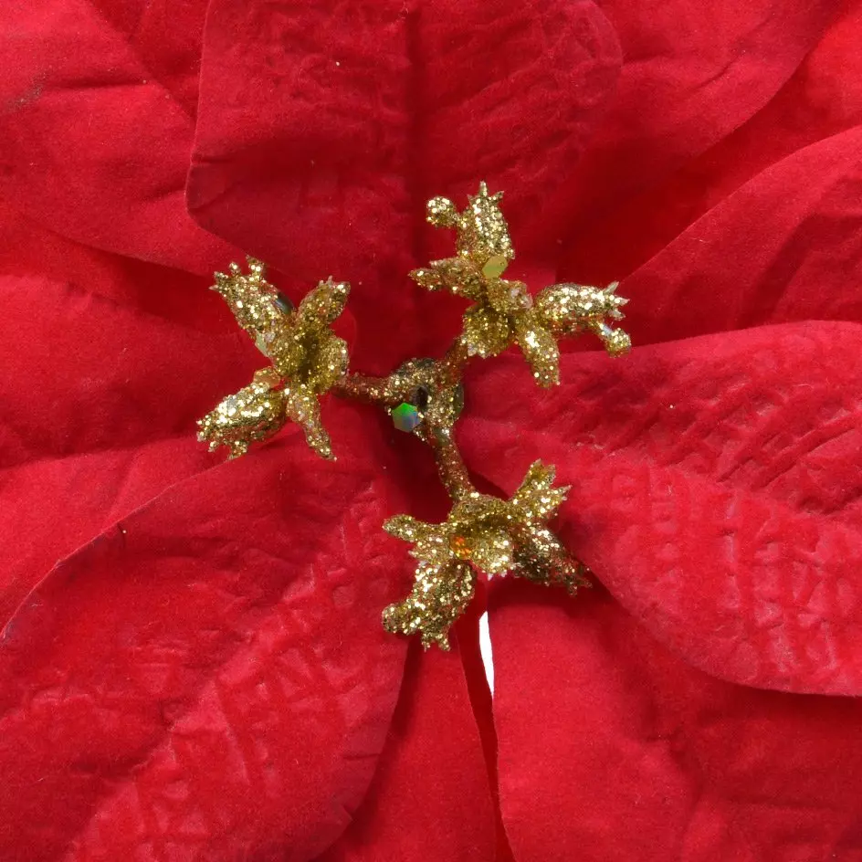 Fiore di Natale Giana a clips Rosso 2