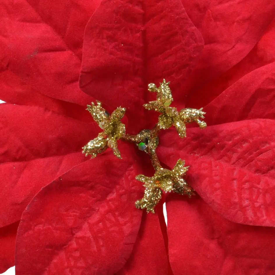 Poinsettia de Noël Noelie  sur clip Rouge 2
