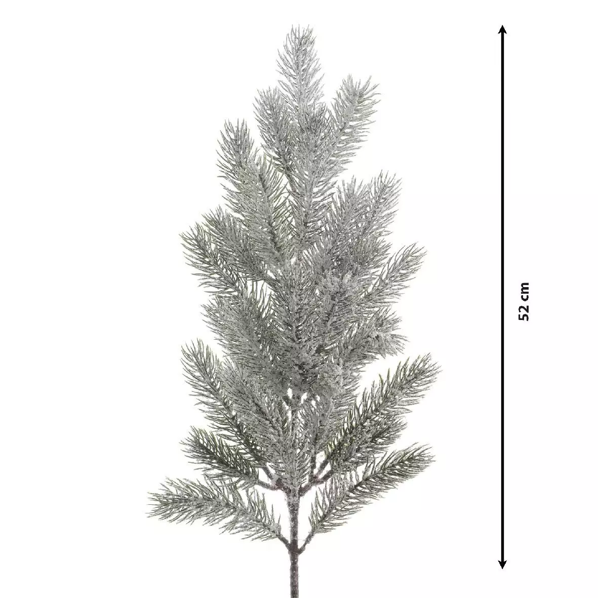 Besneeuwde tak Tinderami besneeuwd groen 3