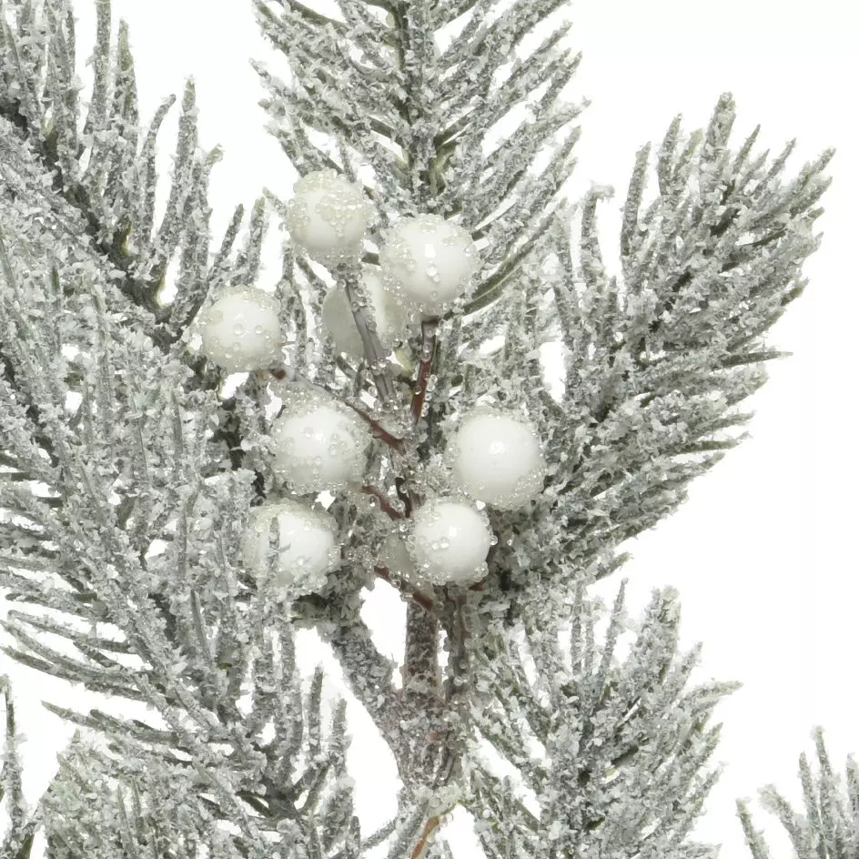 Verschneiter Zweig Shiro Grün verschneit 2