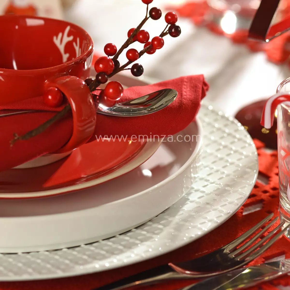 Set van takken Billa Rood 3