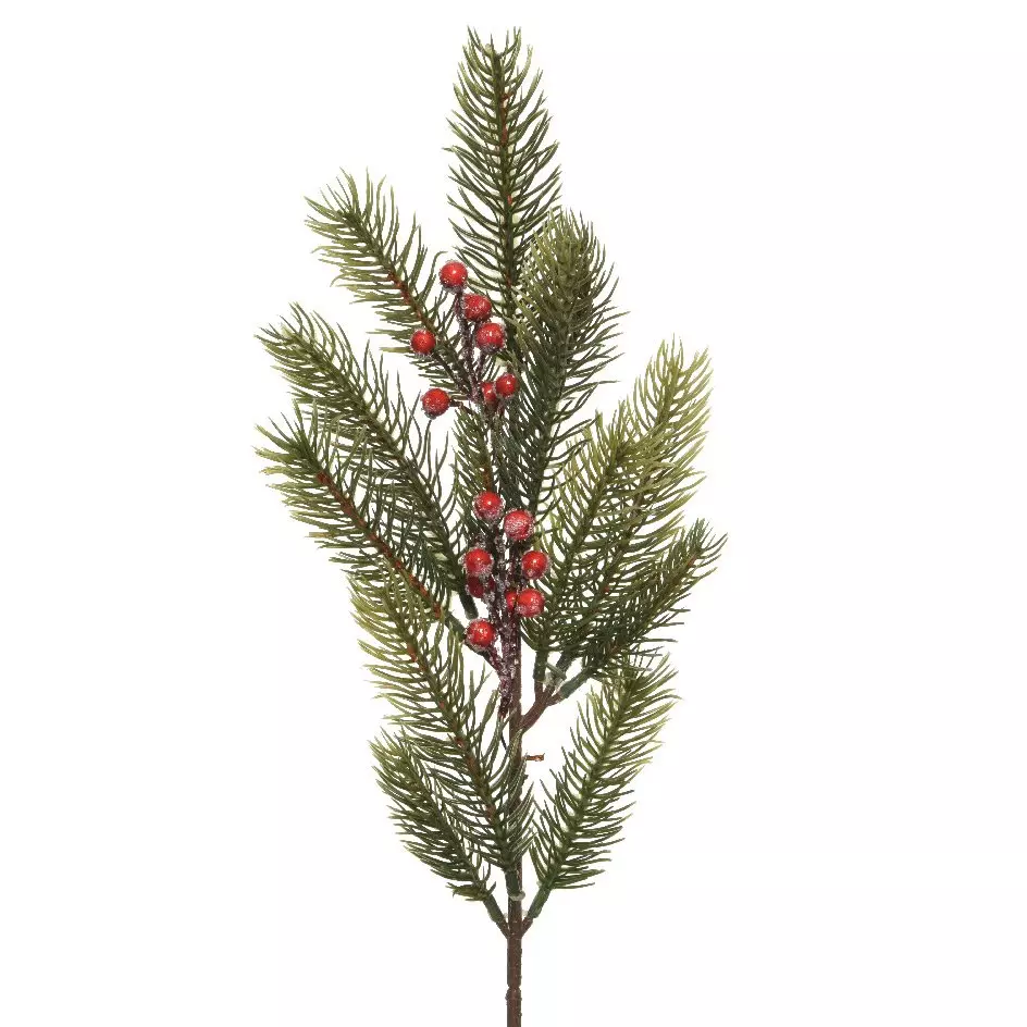 Natuurlijke tak  Beri Groen 1