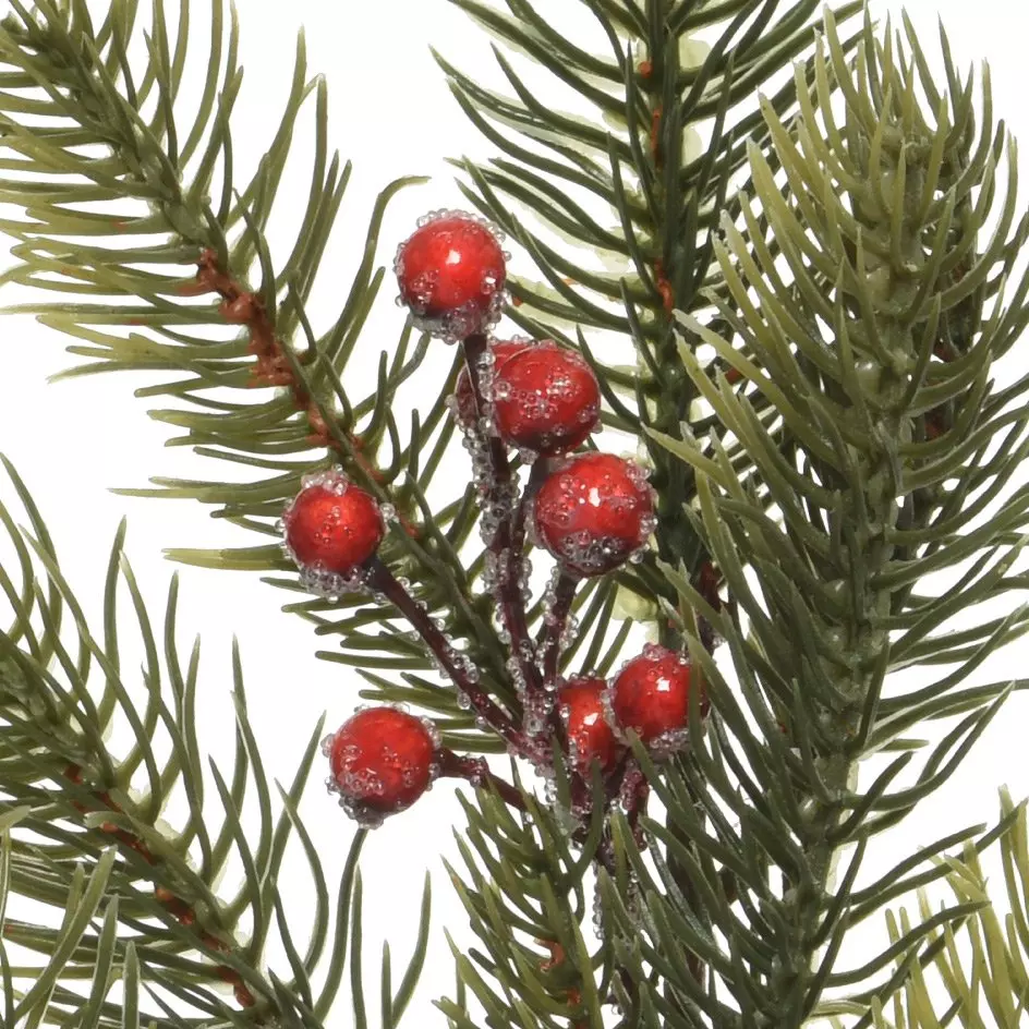Natuurlijke tak  Beri Groen 2
