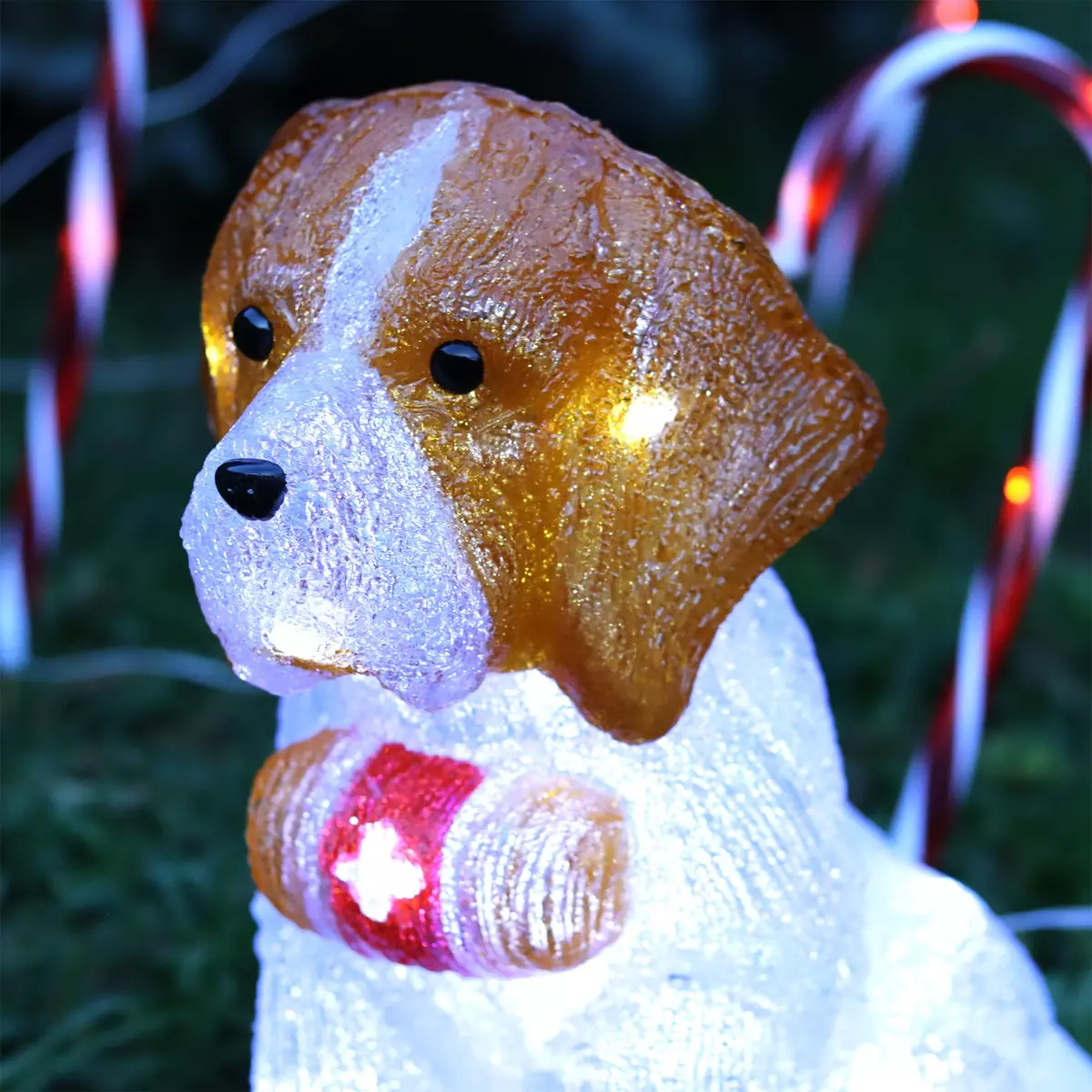 Chien lumineux Saint Bernard Blanc froid 40 LED 2