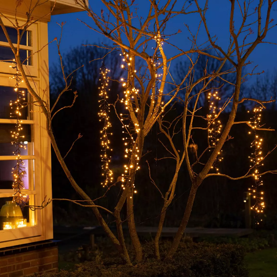 Cascade lumineuse effet scintillant L2 m Blanc chaud 480 LED CN 5