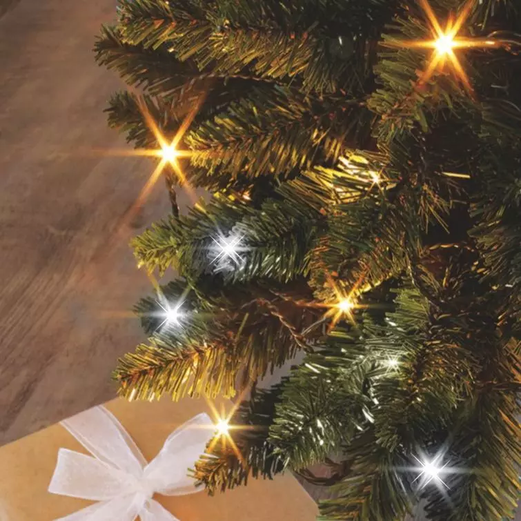 Guirlande lumineuse Bicolore Flashing light 8 m Blanc chaud et blanc froid 128 LED 1