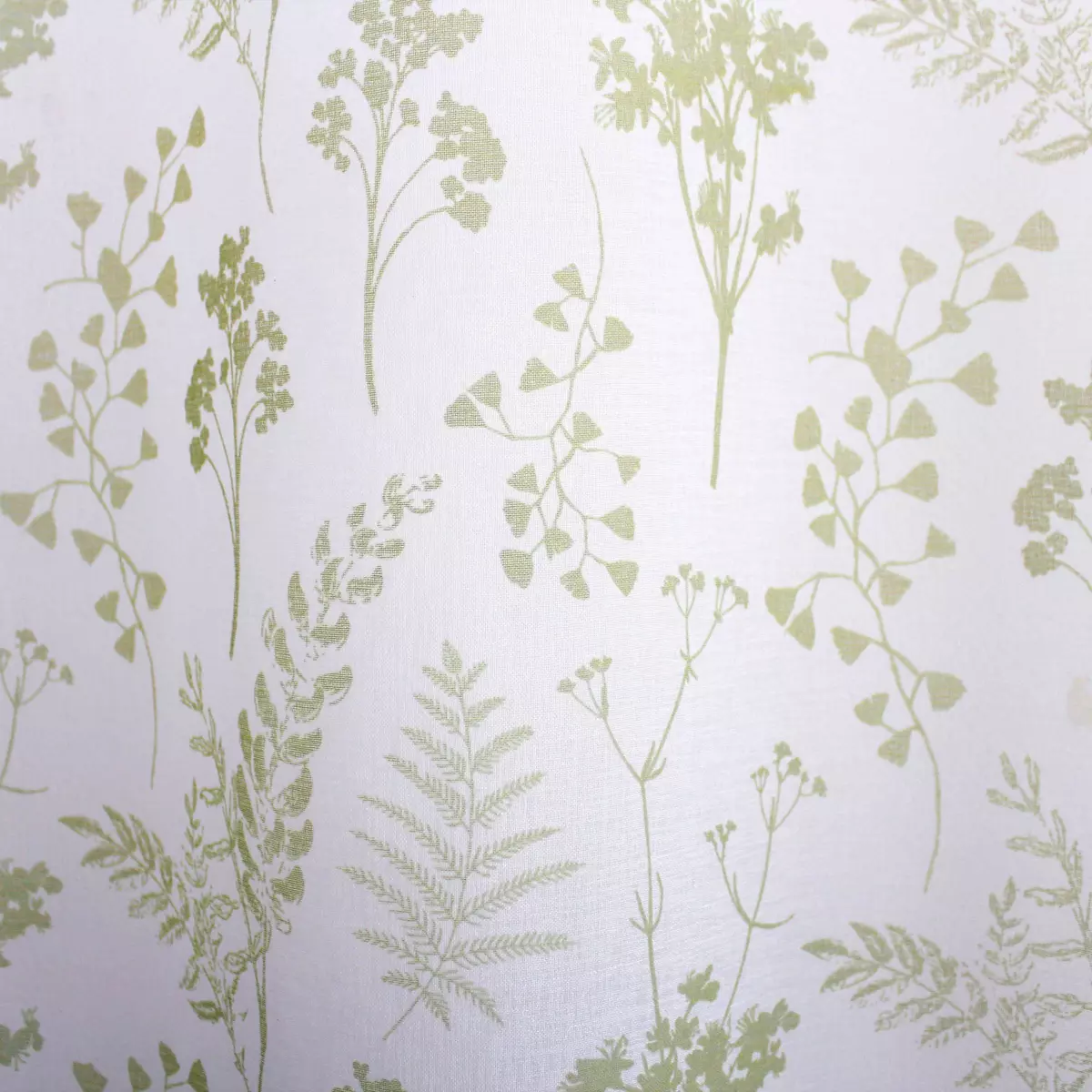 Voilage (140 x 240 cm) Herbier Vert tilleul 3