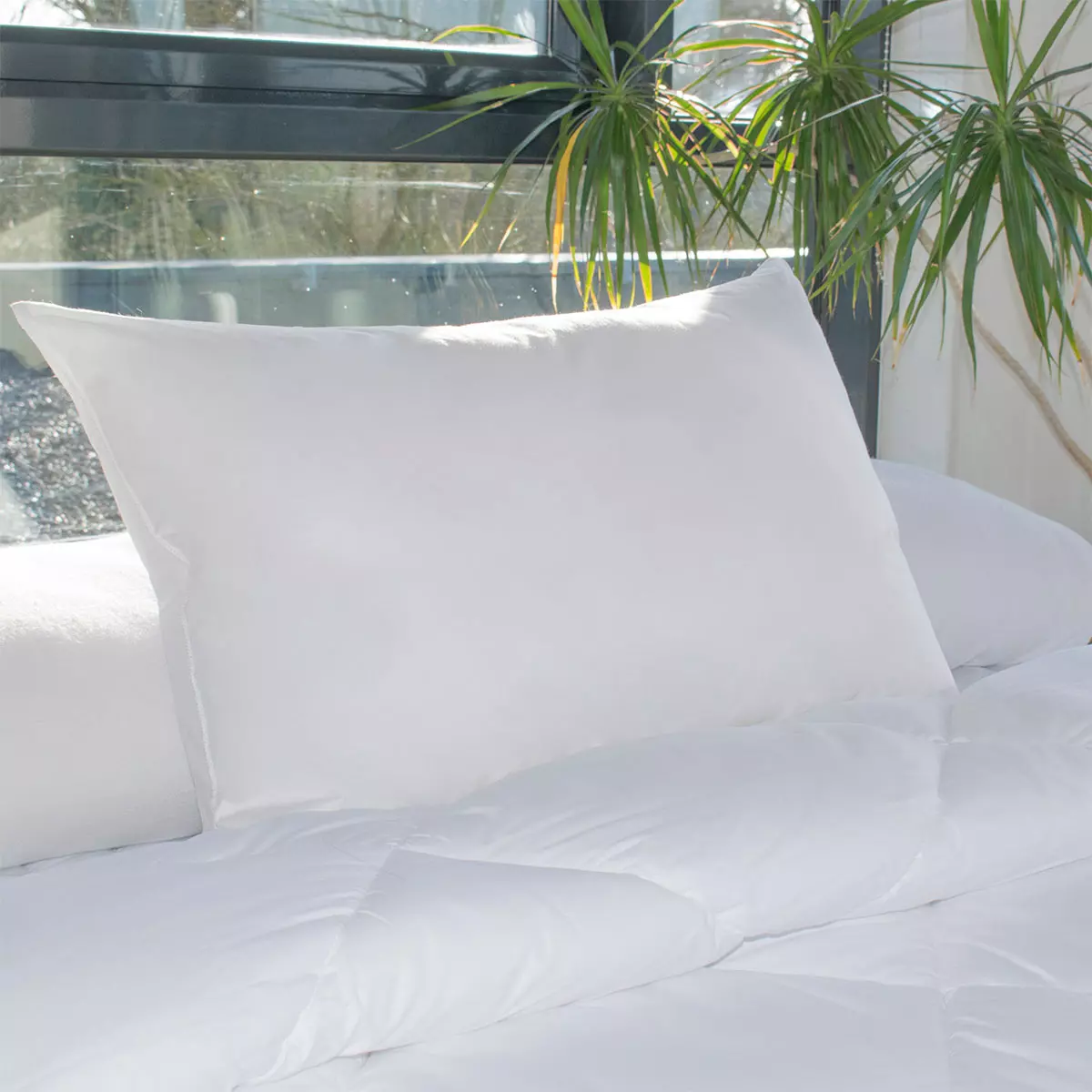 Oreillers rectangulaires - Lot de 2 - Moelleux Anti-acariens Blanc 3