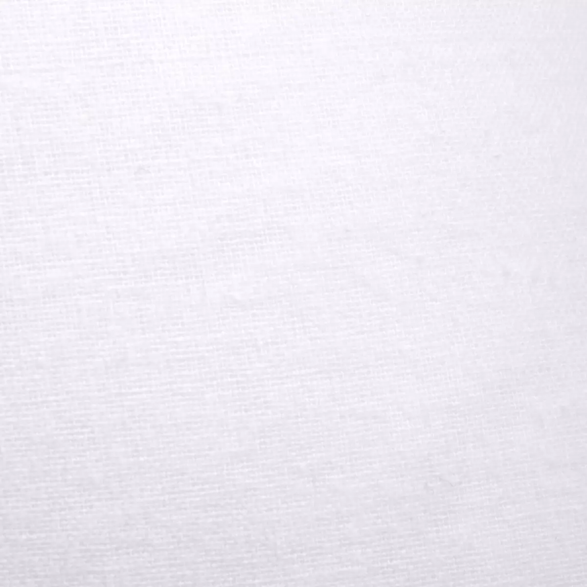 Funda protectora de almohada (50 x 70 cm) Elisa Blanco 3