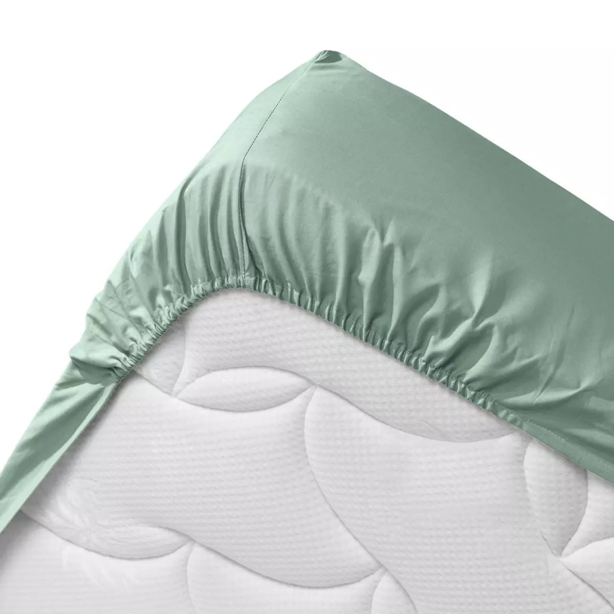 Lenzuolo con angoli cotone bio (180 cm) Biolina Verde salvia 4