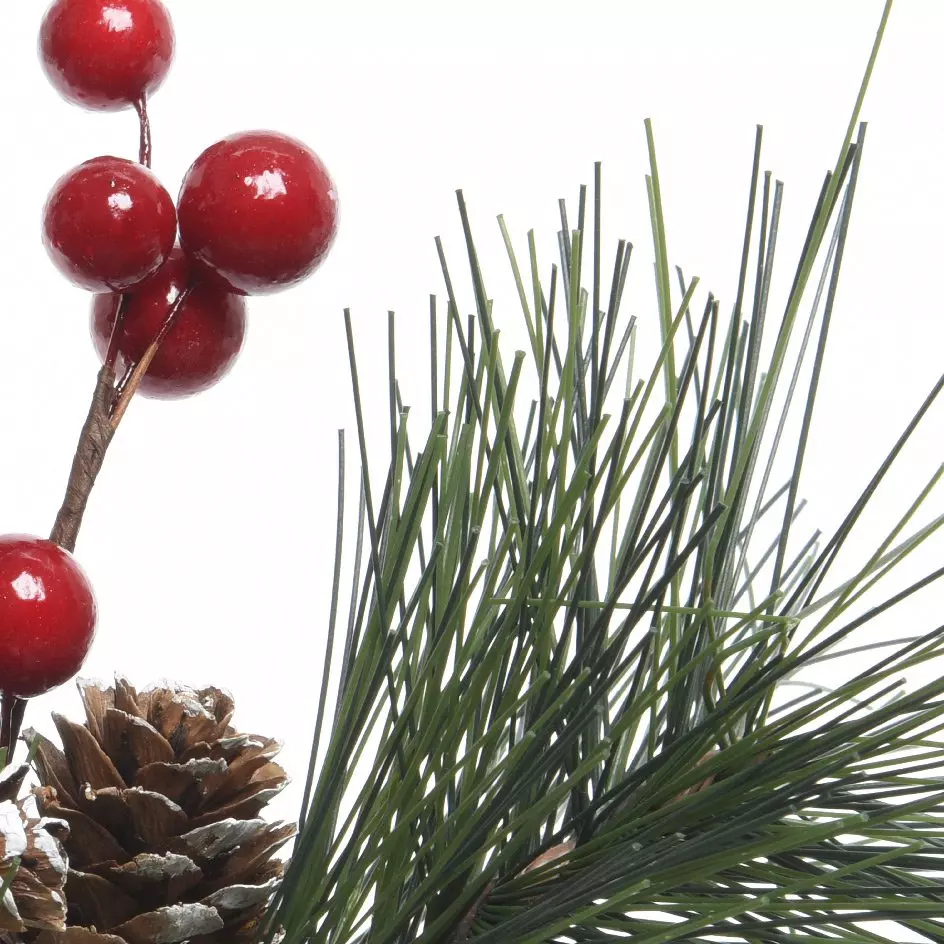 Natuurlijke tak  Klervie Rood 2