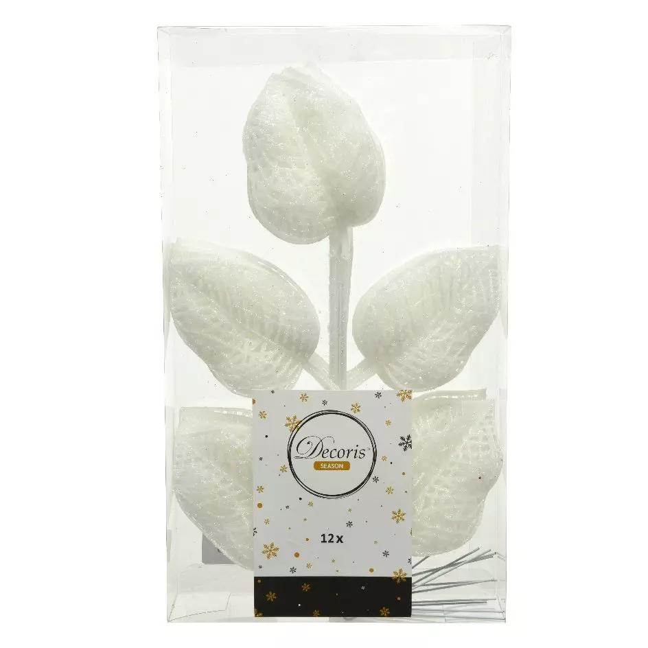 Confezione di 12 foglie Alpine Bianco 1