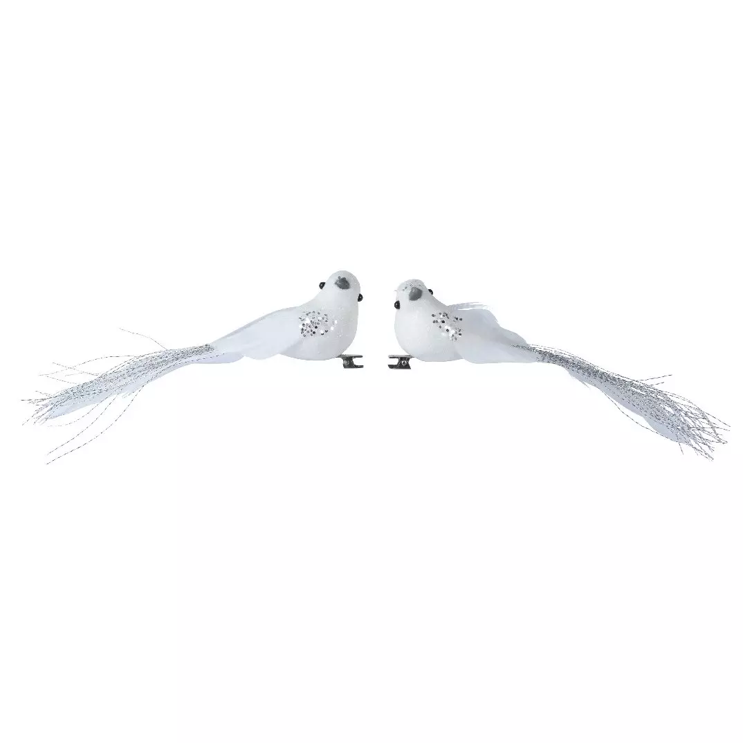 Confezione di 2 uccelli du Paradis Bianco 1