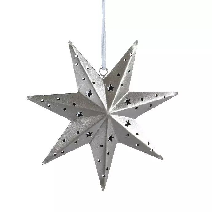 Stella di Natale Gia Argento 1