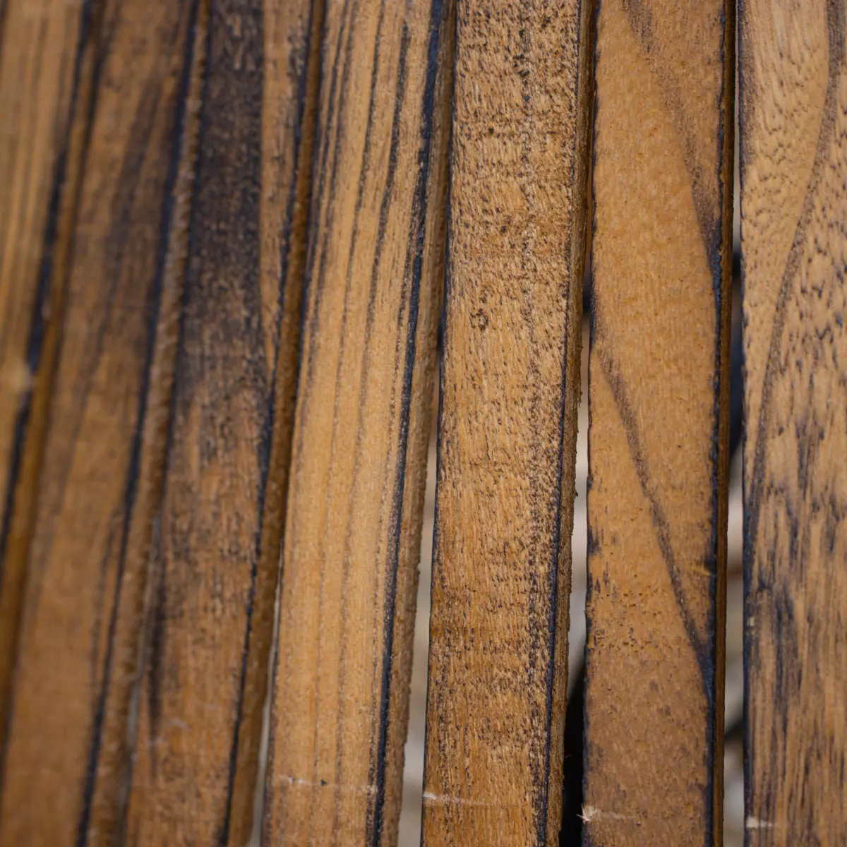 Cache pied de sapin Paulownia Bois 2