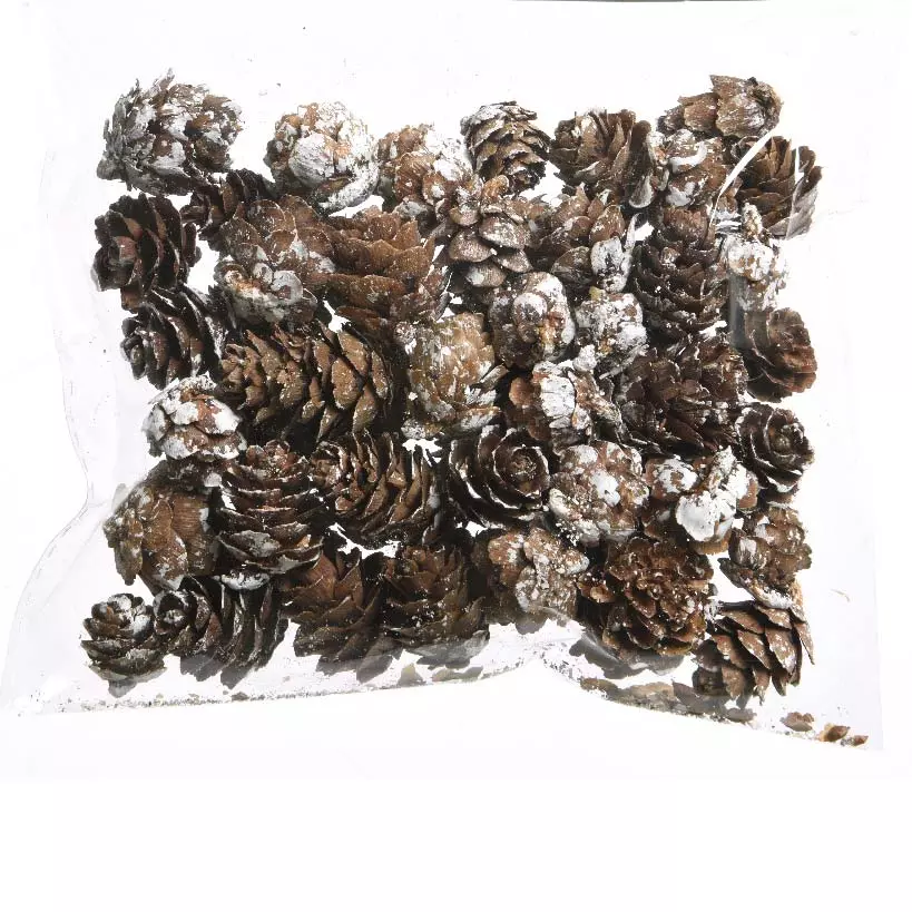 Sacchetto di pommes de pin Naturale 2