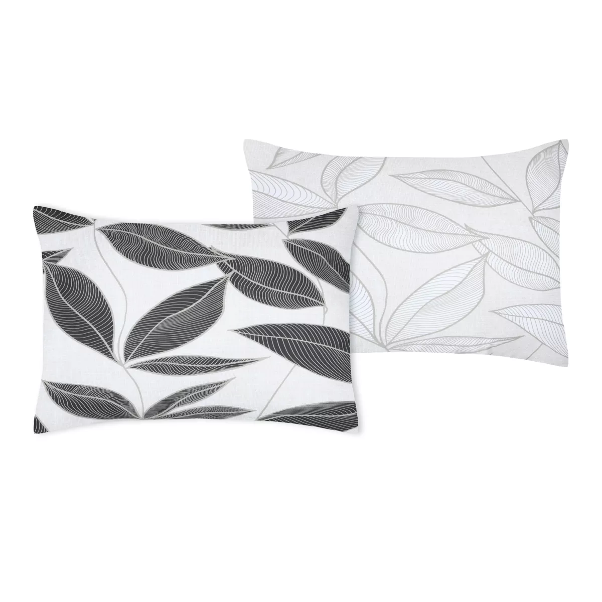 Federa cuscino letto rettangolare percalle di cotone (50 x 70 cm) Matisse Grigio