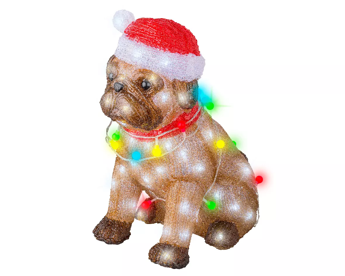 Cane luminoso 100 LED (H42 cm) Bulldog Multicolore