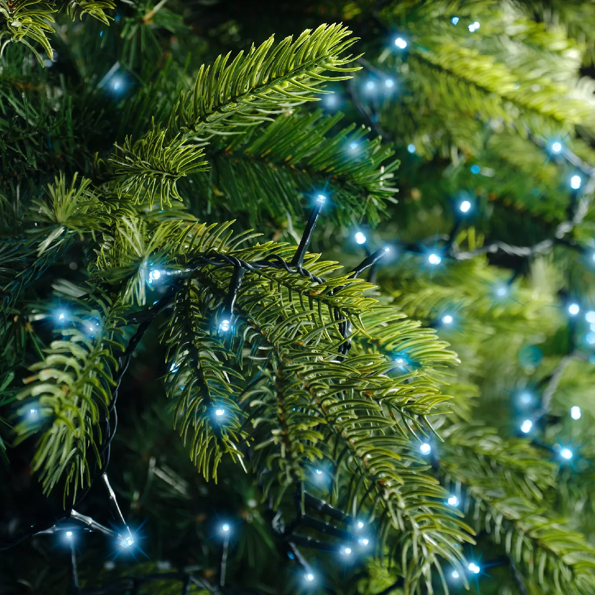 Ghirlanda di luci 16 m 750 LED cavo verde NewLuxe Blu