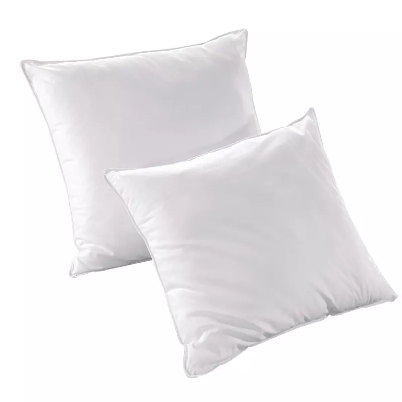 LOT COUETTE 240x280cm + 2 OREILLERS ANTI-ACARIENS 60x60cm EMINZA (DONNER UN NOM)