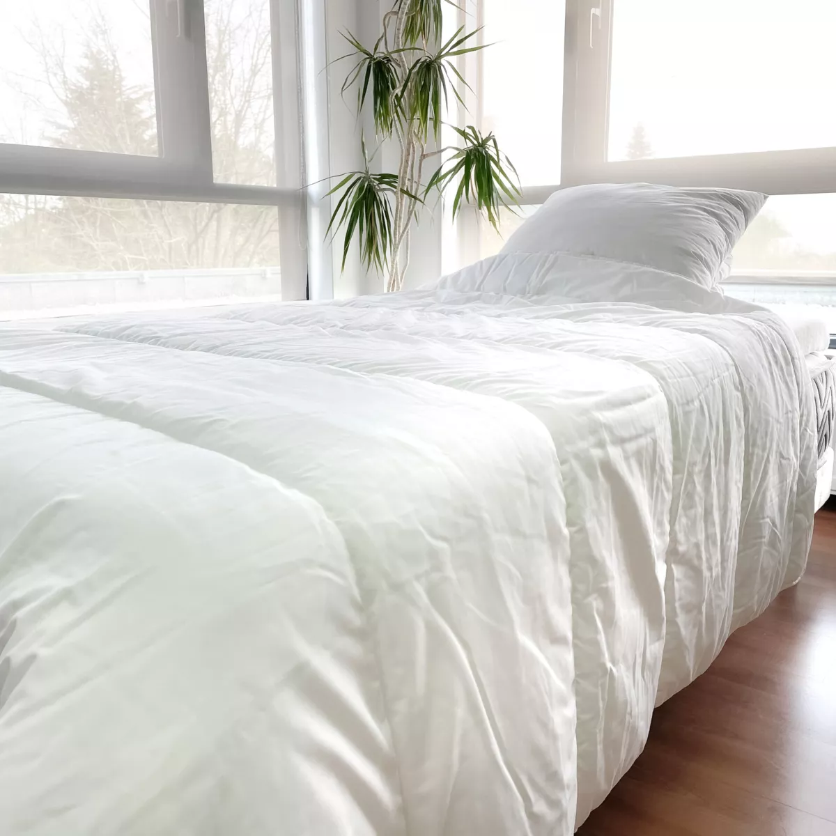 Lot Warme dekbed anti-mijt (140 x 200 cm) + 1 Kussen (60 x 60 cm) Witte Komeet