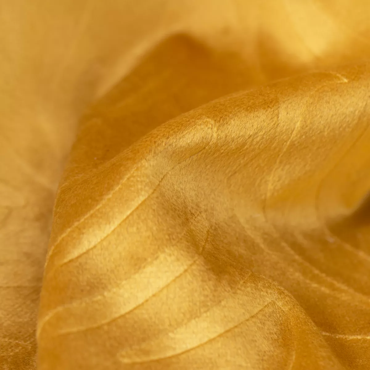 Cuscino quadrato velluto (60 x 60 cm) Fern Giallo ocra