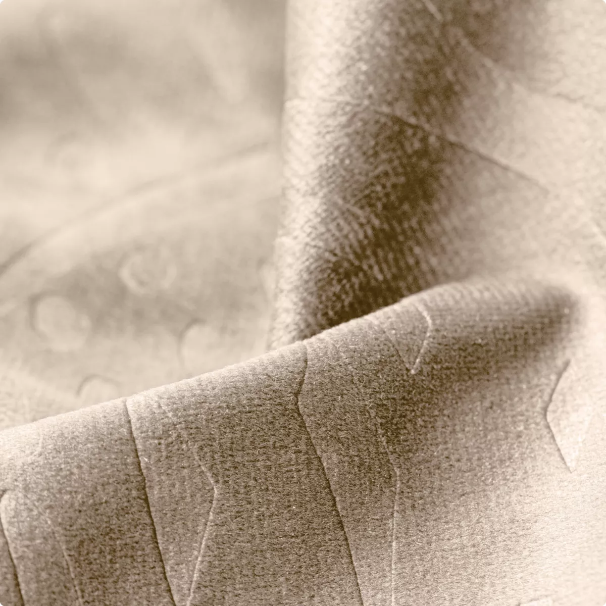 Cortina oscurecedora terciopelo (140 x 240 cm) Fern Topo