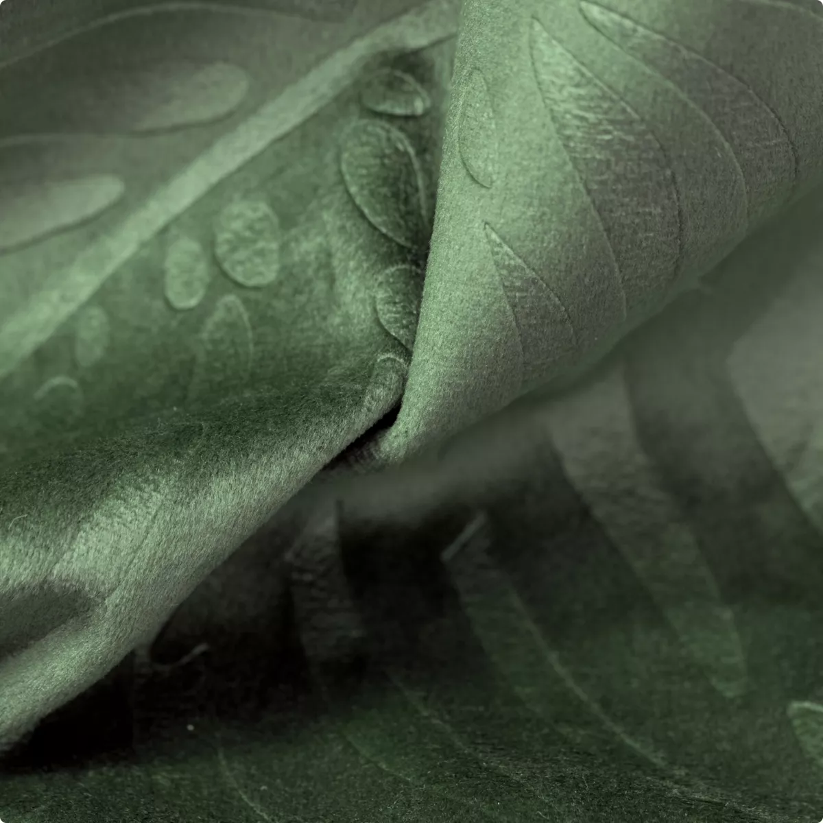 Tenda oscurante velluto (180 x 260 cm) Fern Verde rosmarino