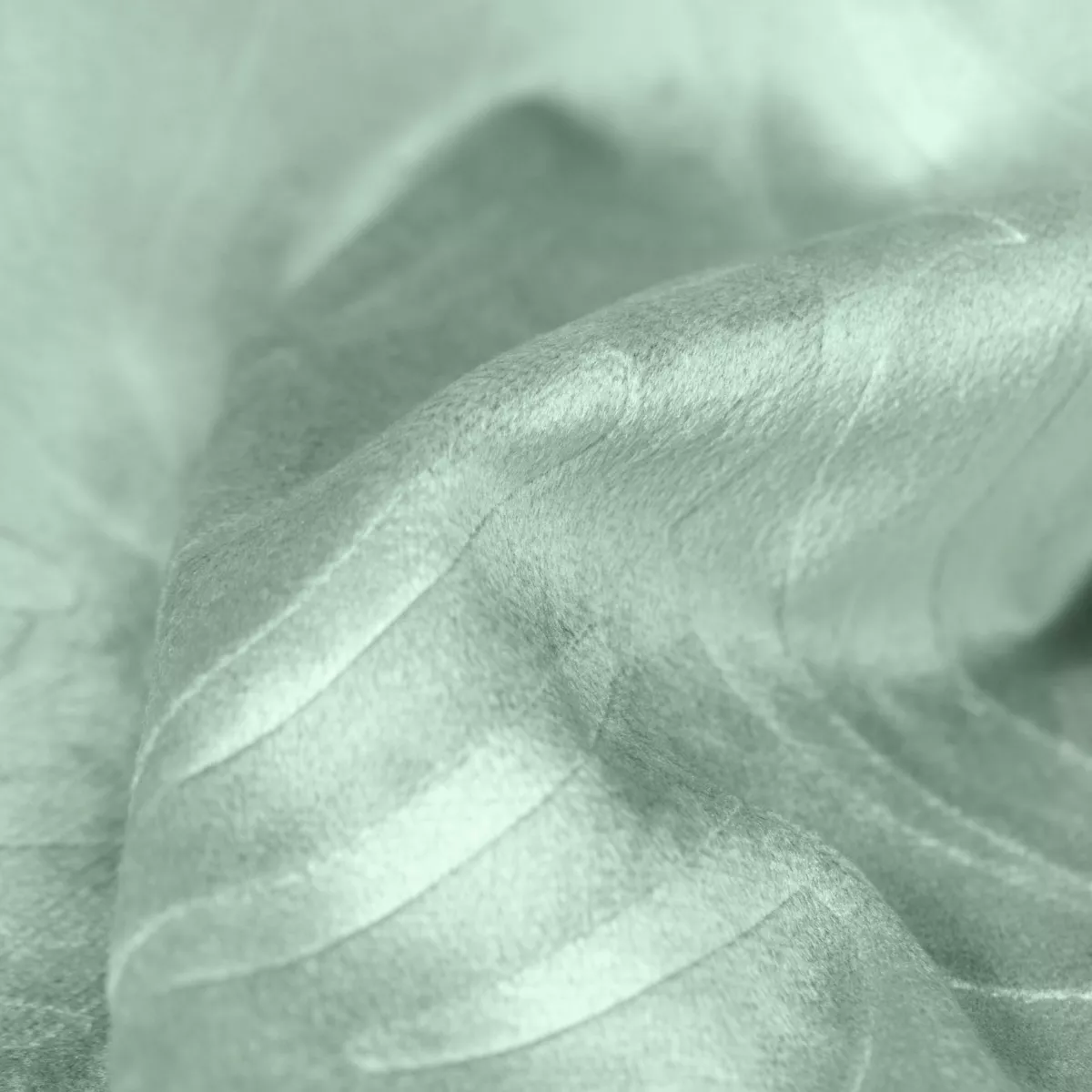 Coussin carré velours (60 x 60 cm) Fern Vert sauge