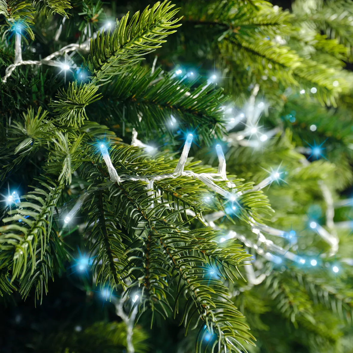 1 LED compact guirlande extŽrieur 3400cm-1500L transparent/blanc froid/bleu