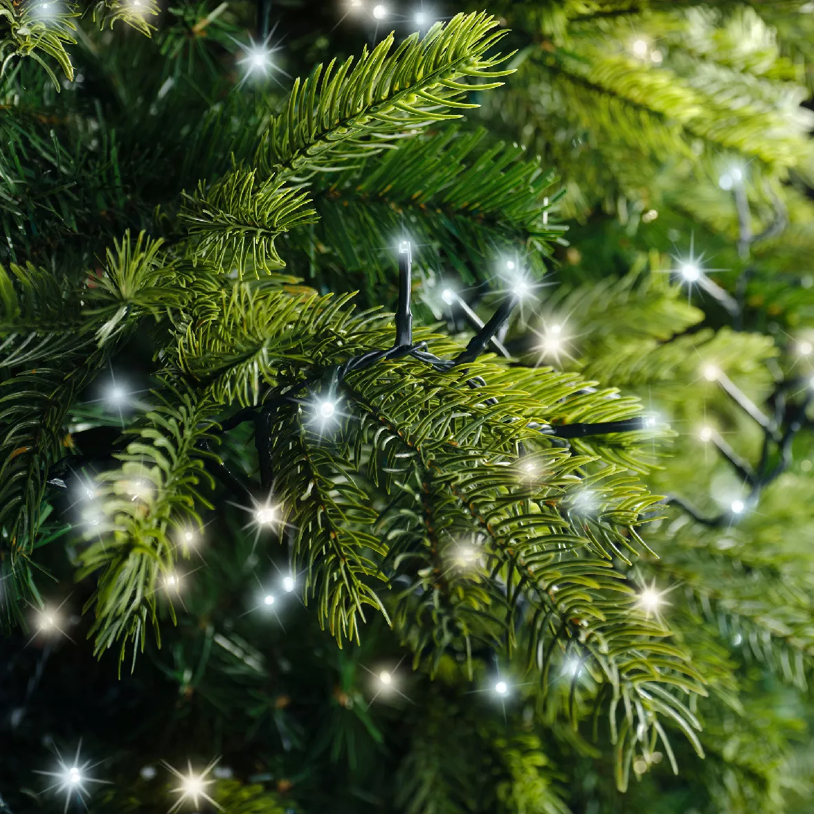 Guirlande lumineuse 34 m 1500 LED câble vert NewLuxe Bicolore Blanc chaud/froid